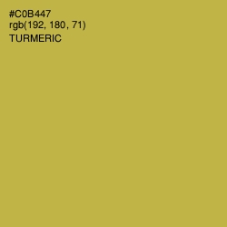 #C0B447 - Turmeric Color Image