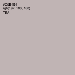 #C0B4B4 - Tea Color Image