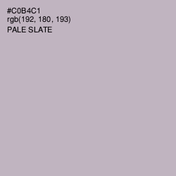 #C0B4C1 - Pale Slate Color Image