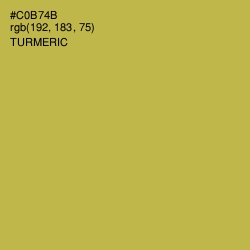 #C0B74B - Turmeric Color Image