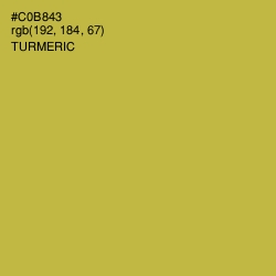 #C0B843 - Turmeric Color Image