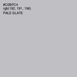 #C0BFC4 - Pale Slate Color Image