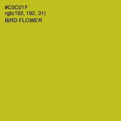 #C0C01F - Bird Flower Color Image