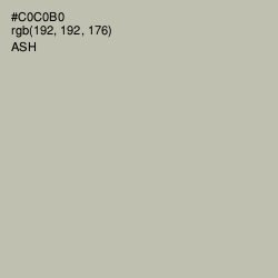 #C0C0B0 - Ash Color Image