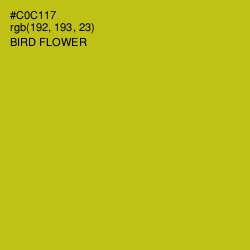 #C0C117 - Bird Flower Color Image