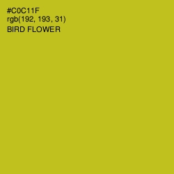 #C0C11F - Bird Flower Color Image