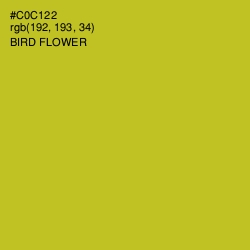 #C0C122 - Bird Flower Color Image