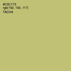 #C0C175 - Tacha Color Image