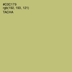 #C0C179 - Tacha Color Image