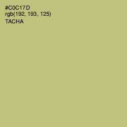 #C0C17D - Tacha Color Image