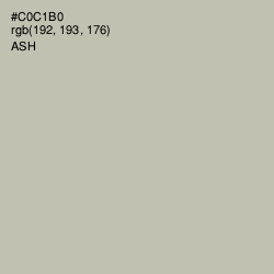 #C0C1B0 - Ash Color Image