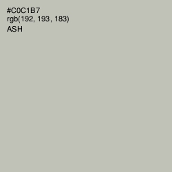 #C0C1B7 - Ash Color Image