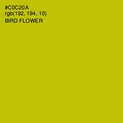 #C0C20A - Bird Flower Color Image