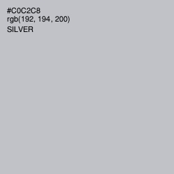 #C0C2C8 - Silver Color Image