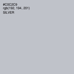 #C0C2C9 - Silver Color Image