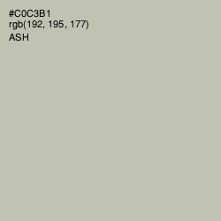 #C0C3B1 - Ash Color Image