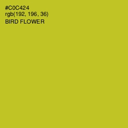 #C0C424 - Bird Flower Color Image