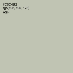 #C0C4B2 - Ash Color Image