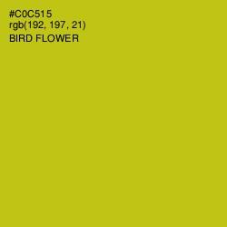 #C0C515 - Bird Flower Color Image