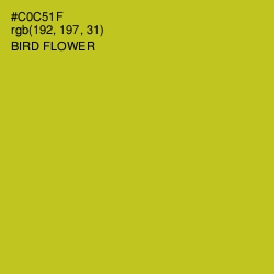 #C0C51F - Bird Flower Color Image