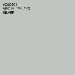 #C0C5C1 - Silver Color Image