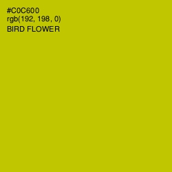 #C0C600 - Bird Flower Color Image