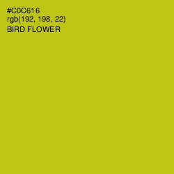 #C0C616 - Bird Flower Color Image