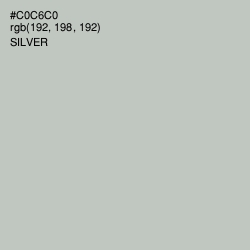 #C0C6C0 - Silver Color Image