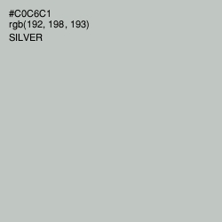 #C0C6C1 - Silver Color Image