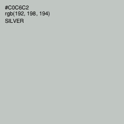 #C0C6C2 - Silver Color Image