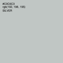 #C0C6C3 - Silver Color Image