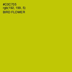 #C0C705 - Bird Flower Color Image