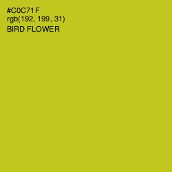 #C0C71F - Bird Flower Color Image