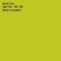 #C0C724 - Bird Flower Color Image