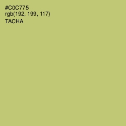 #C0C775 - Tacha Color Image