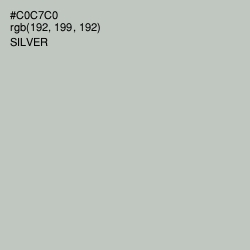 #C0C7C0 - Silver Color Image