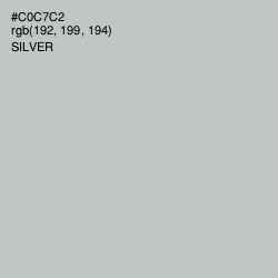 #C0C7C2 - Silver Color Image