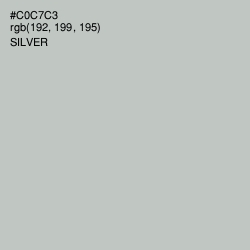 #C0C7C3 - Silver Color Image