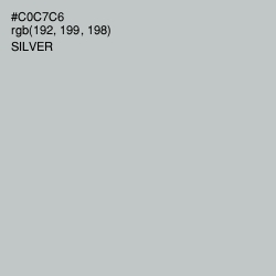 #C0C7C6 - Silver Color Image