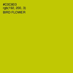 #C0C803 - Bird Flower Color Image