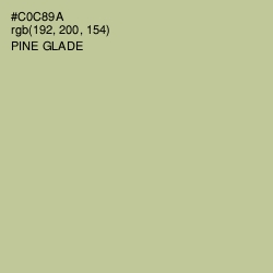 #C0C89A - Pine Glade Color Image