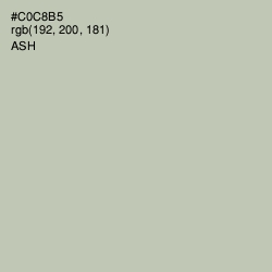 #C0C8B5 - Ash Color Image