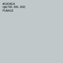 #C0C8CA - Pumice Color Image