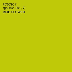 #C0C907 - Bird Flower Color Image
