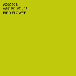 #C0C90B - Bird Flower Color Image