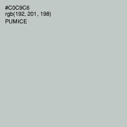 #C0C9C6 - Pumice Color Image