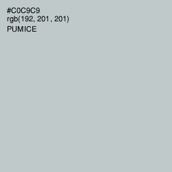 #C0C9C9 - Pumice Color Image