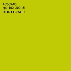 #C0CA05 - Bird Flower Color Image