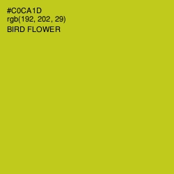 #C0CA1D - Bird Flower Color Image