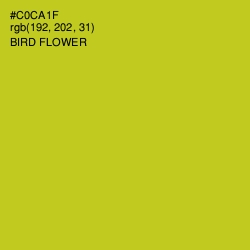 #C0CA1F - Bird Flower Color Image